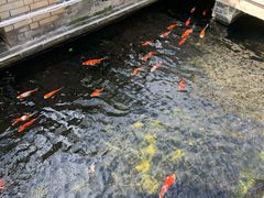 -顺德了能馆(虎门店)