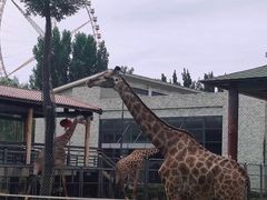 -石家庄市动物园