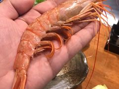 -大渔铁板烧(中山路八佰伴店)