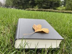 -重庆中央公园(渝北区)