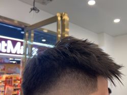 -YESIDO椰岛造型