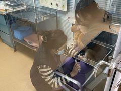 -瑞派·关忠动物医院·猫专科·犬专科(三环新城店)