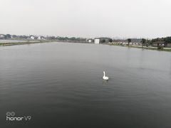 -金龟岛渔村