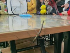 -上海昆虫博物馆