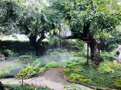 -Chom Cafe and Restaurant