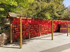 -石岛赤山风景区