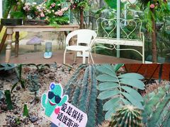 -正佳雨林生态植物园
