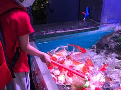 -正佳极地海洋世界