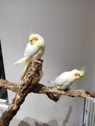 -Zoolung Zoolung动物主题公园(海信广场店)