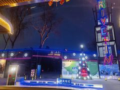 -枫花园汽车电影院(朝阳公园店)