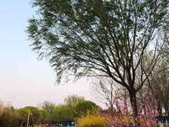 -永定河休闲森林公园