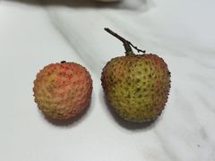 -越乡小厨(侨港店)