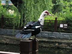 -无锡市西漳中学