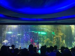 -大明湖海底世界
