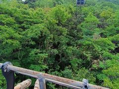 -富斯特索道