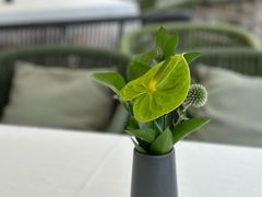 -沿途四季·云南菜·诗酒茶(蓝色港湾店)