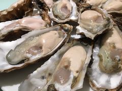 -千岛蚝高压锅生蚝·人参火锅(白云万达店)