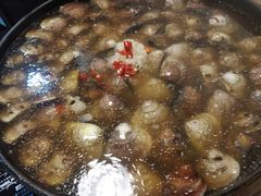 -拾下卜卜贝•海鲜火锅