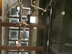 -呷哺呷哺(悦荟广场店)