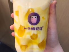 芒来芒趣酸奶多-一只酸奶牛(丹尼斯大卫城店)