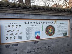 -护国法轮寺