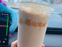 -猫的魔法密林(衣裳街店)