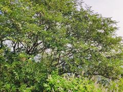 -青州市云门山风景区