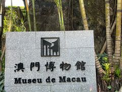 -大炮台
