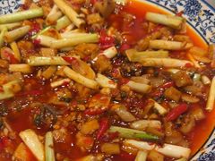 -院8里·小聚园老川菜(九眼桥店)