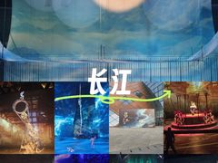 -重庆国际马戏城