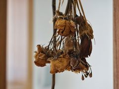 -Oasis coffee燕谷咖啡(公信店)