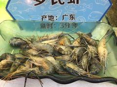 -小天鹅戴斯酒店鲸鲨百汇创作料理