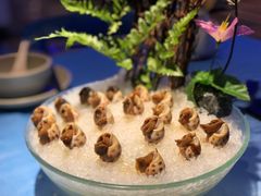 -千岛蚝高压锅生蚝·人参火锅(白云万达店)