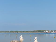 -呼兰河口湿地公园