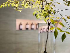 -野鸽子咖啡(航空路店)