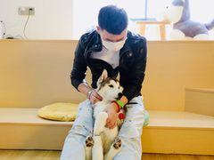 -Husky Go! 哈士奇体验馆·宠物咖啡厅狗咖