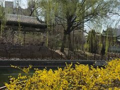 -迎泽公园