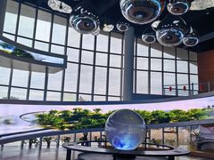 -漩门湾国家湿地公园