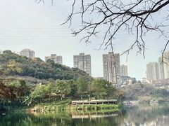 -重庆彩云湖湿地公园