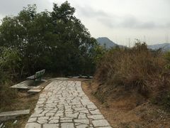 -南丫岛