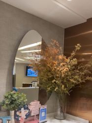 -深圳鹏爱秀琪医疗美容医院