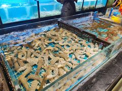 -九月海·海鲜自助(世纪东方店)