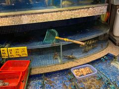 水产区-权记避风塘(鸿记店)