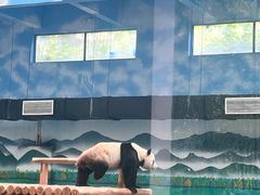 -柳州市动物园
