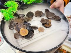 -名善山珍·野生菌汤锅(文殊院店)