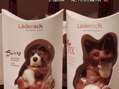 -Laderach 莱德拉(上海环贸iapm店)