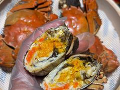 -杨氏青龙虾·羊蝎子(金盛路总店)