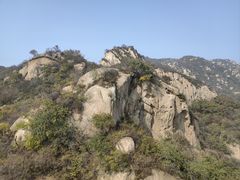-大岭沟猕猴桃谷风景区