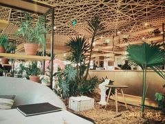 -云里小坐·海泉湾·团建·宴席·下午茶(金堂海泉湾店)
