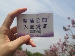 -嘉定紫藤园